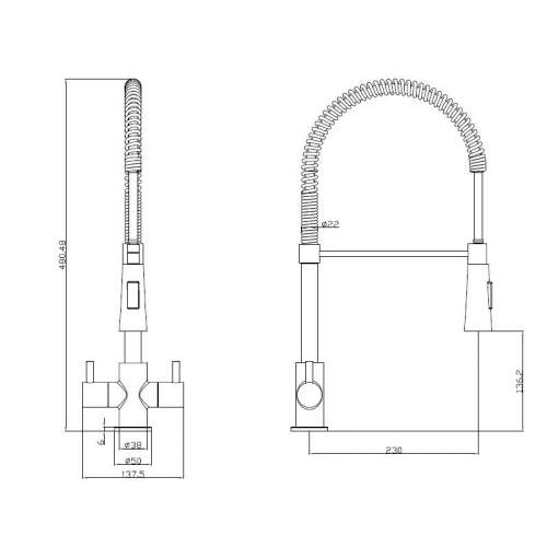 Reginox Titania Professional Style Kitchen Mixer Tap with Pull Out Spout