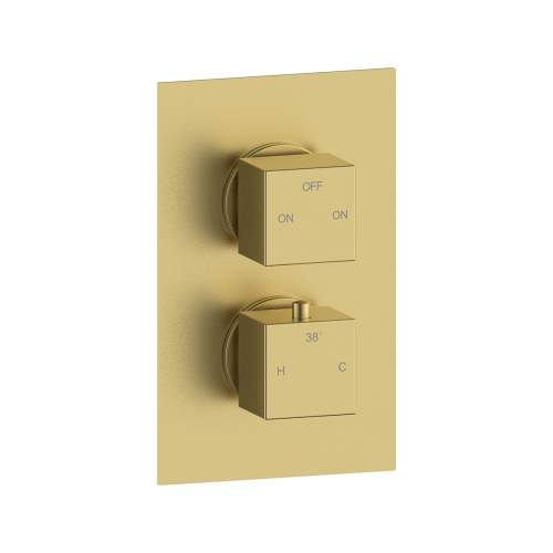 Bluci Square Concealed Valve Head and Arm Shower Pack - Brushed Brass